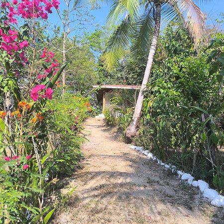 Casa Paraiso Manzanillo  エクステリア 写真