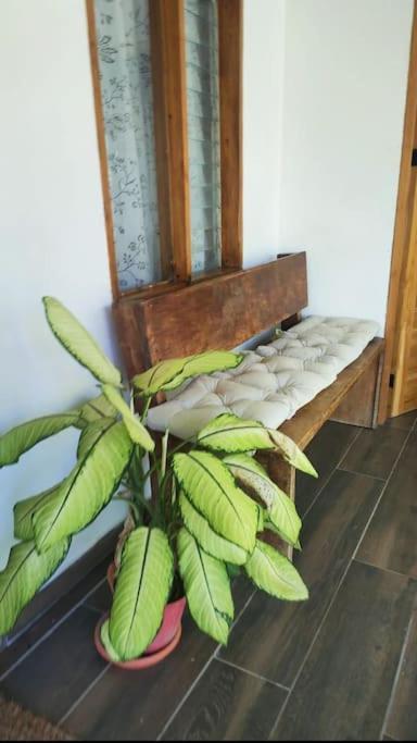 Casa Paraiso Manzanillo  エクステリア 写真
