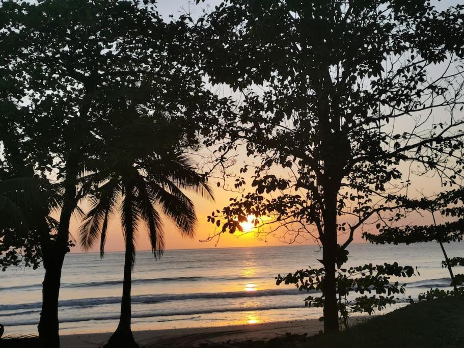 Casa Paraiso Manzanillo  エクステリア 写真