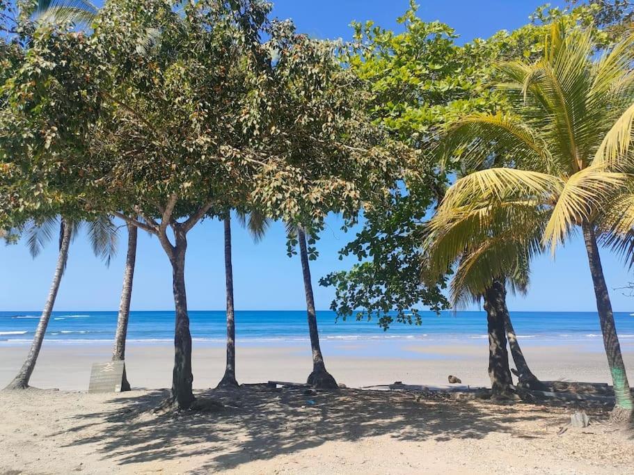 Casa Paraiso Manzanillo  エクステリア 写真