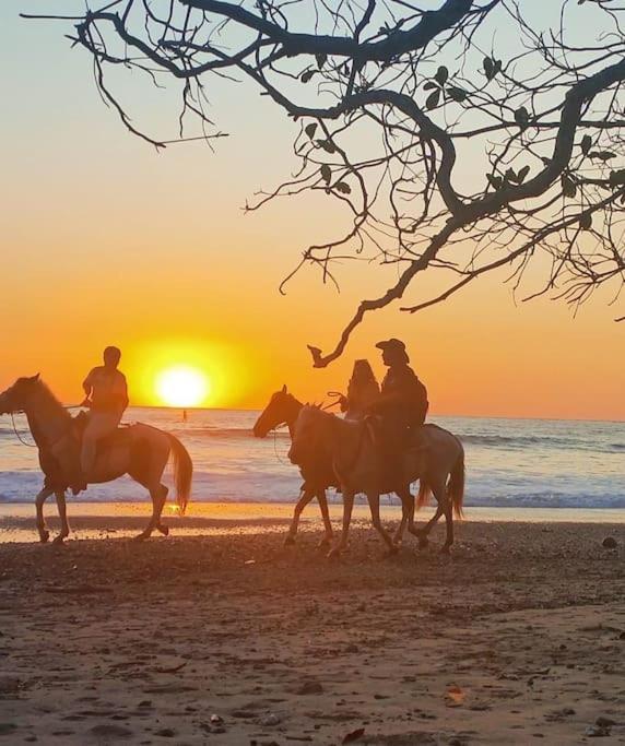 Casa Paraiso Manzanillo  エクステリア 写真