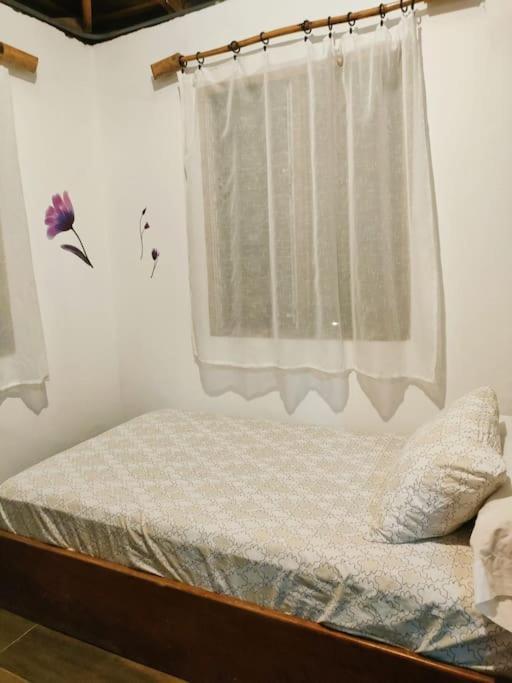 Casa Paraiso Manzanillo  エクステリア 写真