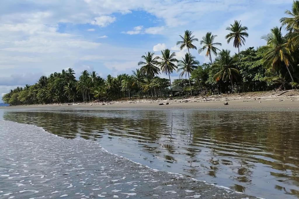 Casa Paraiso Manzanillo  エクステリア 写真