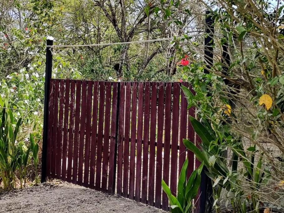 Casa Paraiso Manzanillo  エクステリア 写真